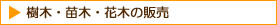 樹木・苗木・花木の販売